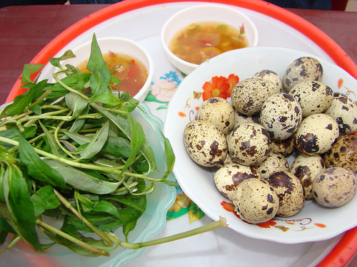 trung-cut
