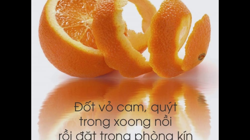 duoi-muoi