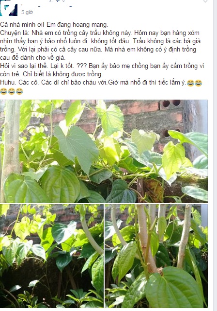 phong-thuy