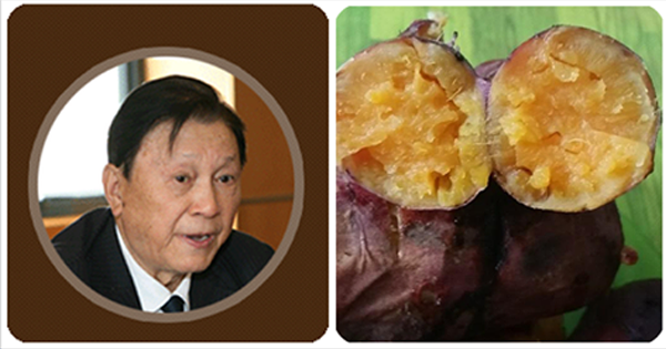khoai-lang
