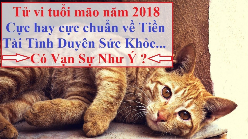 tuoi-mao1