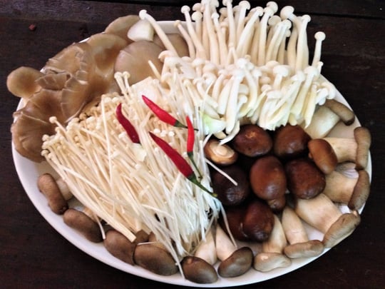 lau-ga