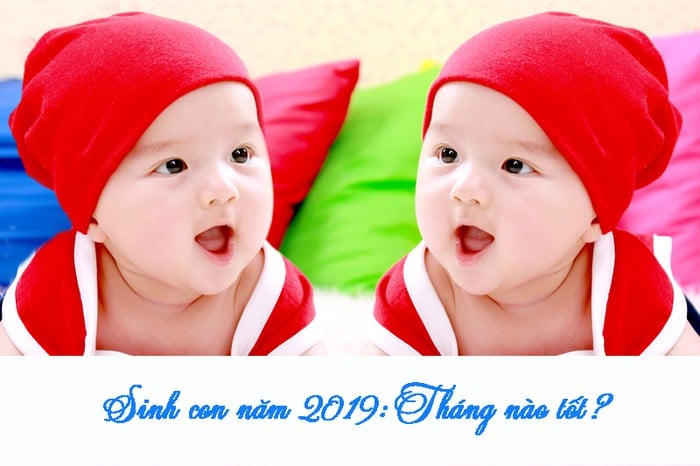 sinh-con