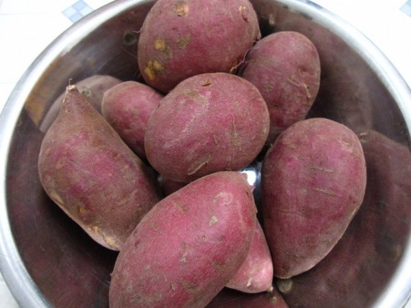 khoai-lang-1