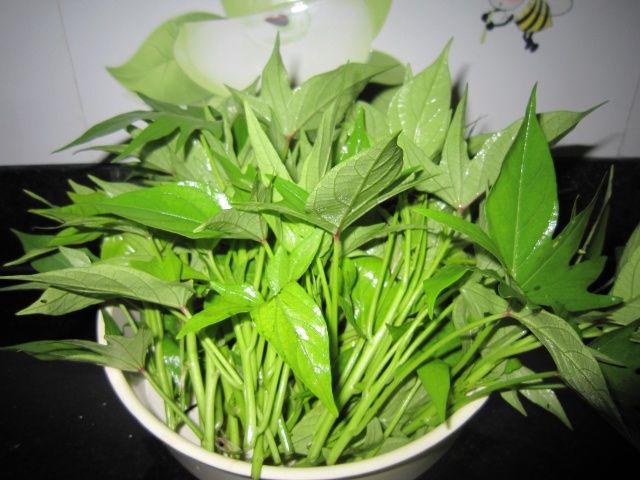 rau-lang