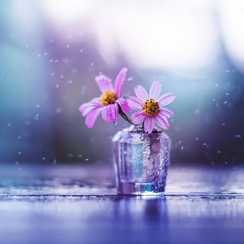 DSC3116-Ashraful-5977760d875c7__880-480x480