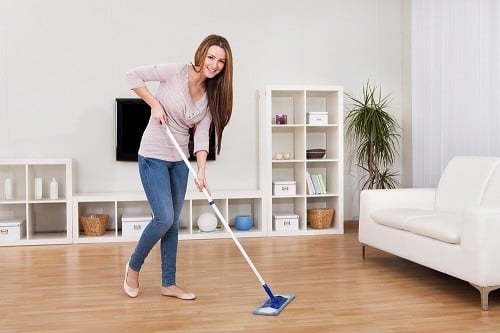 housecleaning2