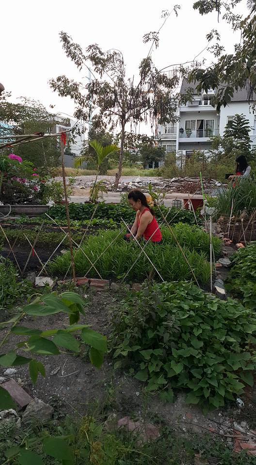 Bà Ngọc Hương tận dụng đất trống quanh nhà để trồng thêm rau sạch phục vụ bữa ăn Shbet111 slot, casino, thể thao, xổ số.
