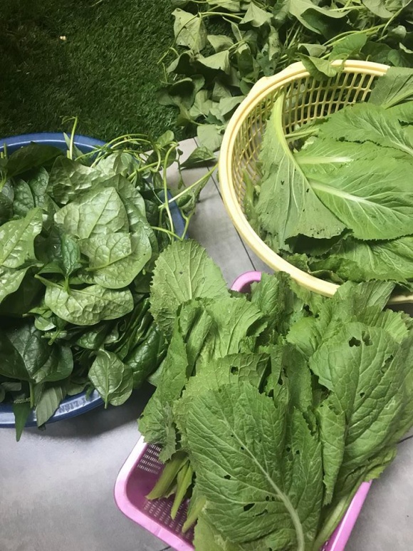 Thành quả thu được khiến ai nhìn cũng ngưỡng mộ.