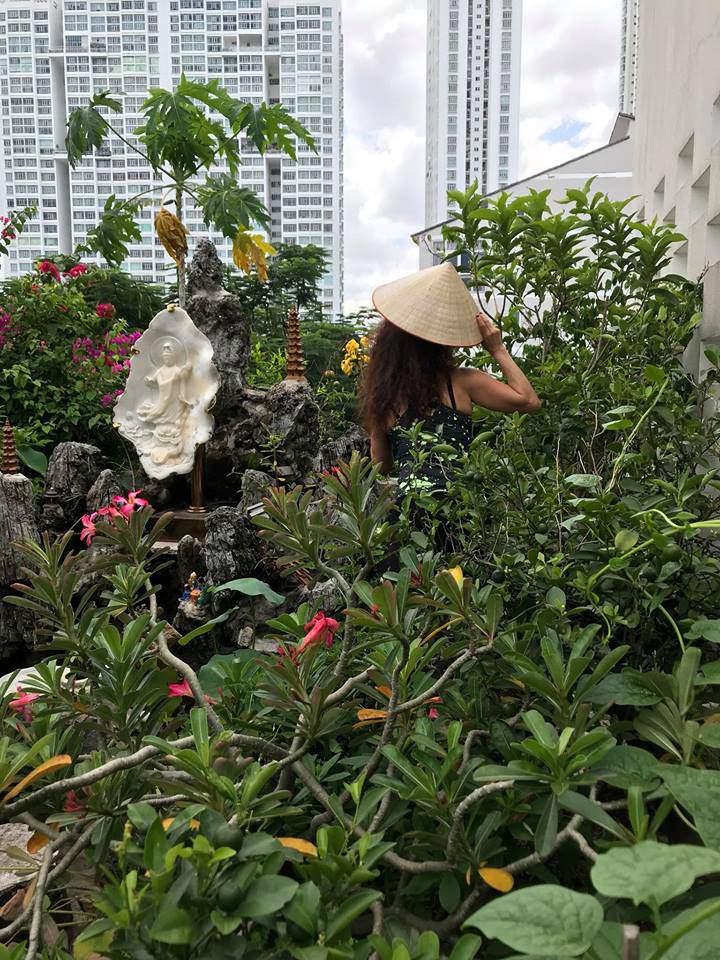 Một góc vườn có hòn non bộ, trồng hoa sứ, hoa giấy, cây đu đủ, tắc (quất) sai quả,...    