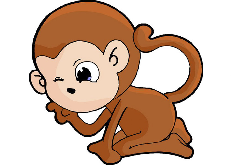 monkey