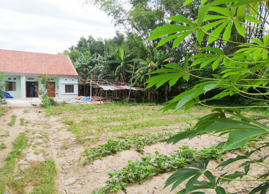 Nhà cô ruột của Nhã Phương.