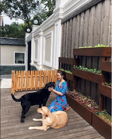Hình ảnh được Tăng Thanh Hà chia sẻ.
