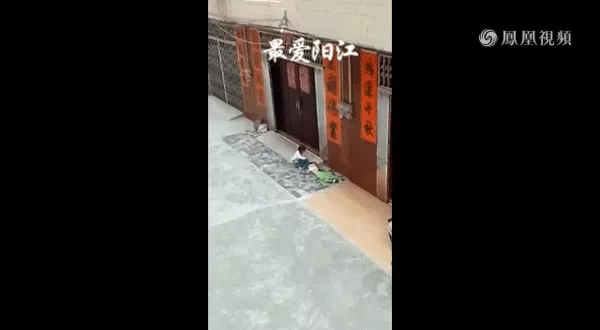can xe qua nguoi 1 - phun