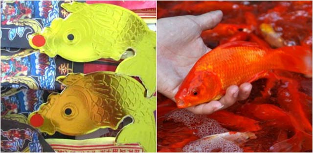 cung ong Cong ong Tao 1- 