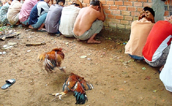 thu vui ngay tet 4 - phun