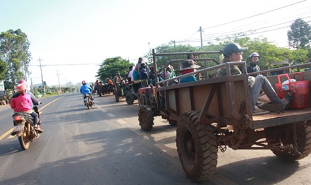 cha con tong nhau tu vong