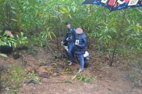 hiep dam dong nghiep 2 - 