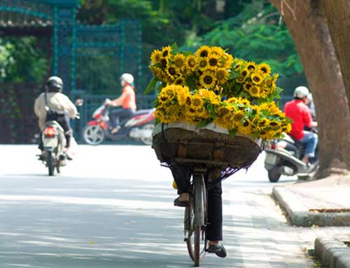 thoi tiet 1