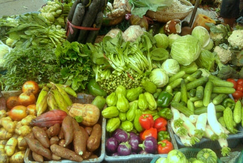 rau-cu-trung-quoc-1-sharoncuneta.com