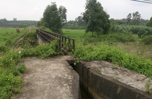 be-so-sinh-bi-bo-roi-2