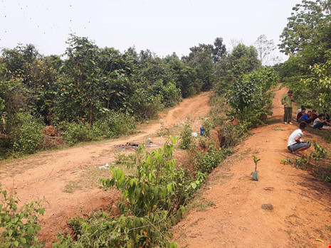 an-mang-hoa-binh-1