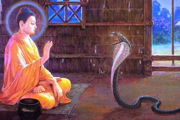 noi-xau