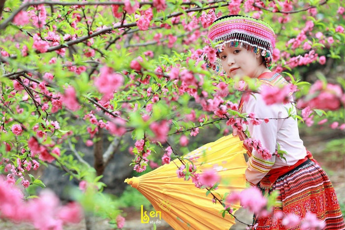 tet-nay-nha-nha-du-xuan-o-dau (3)