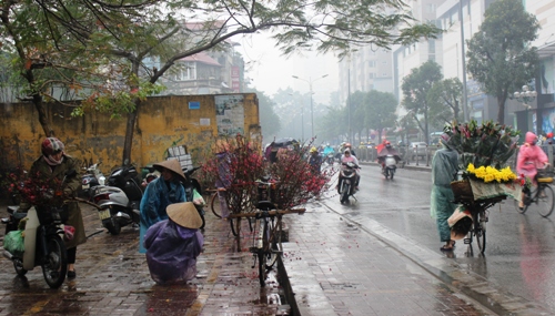 Ảnh minh họa.