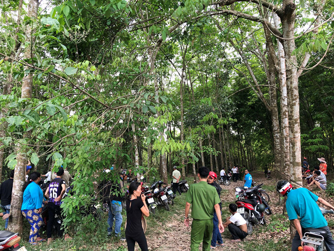 Khu vực tìm thấy thi thể nạn nhân bị đốt cháy   ẢNH: ĐỖ TRƯỜNG