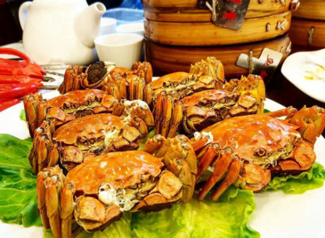 ngoc-trinh-phunutoday 6