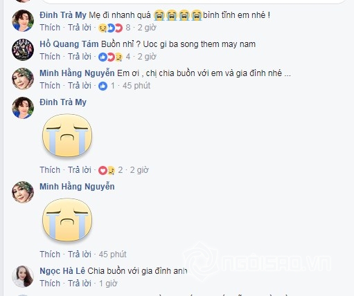 vuong-rau-nghe-si 2