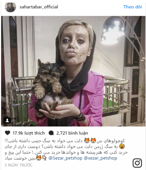 tham-my-giong-angelia jol
