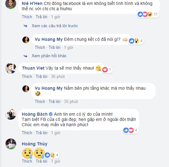 vu-hoang-my 2
