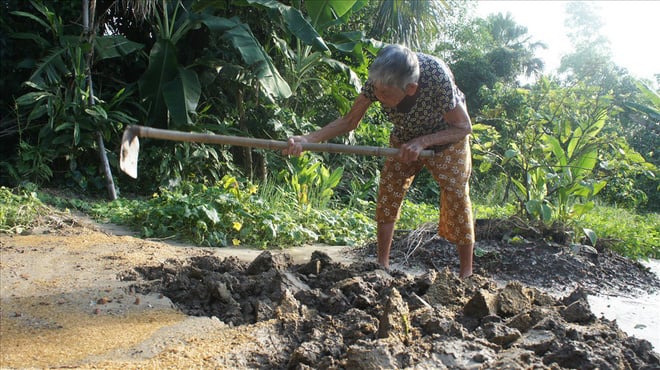 Tuổi đã cao nhưng với cụ, lao động là cách tốt nhất để duy trì sức khỏe.  