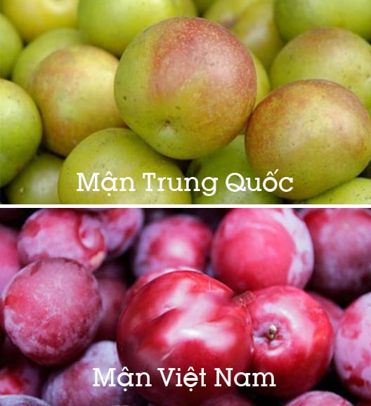 man 1
