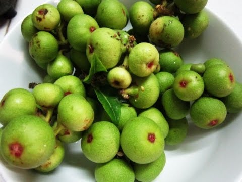 o chua 3