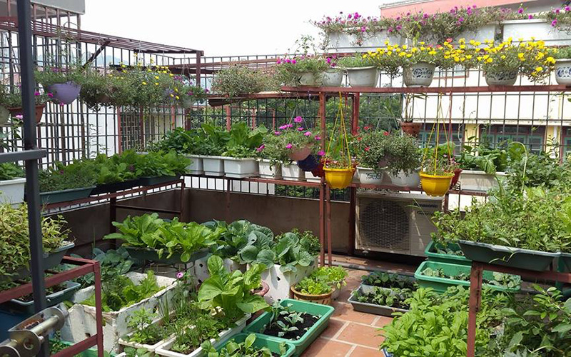 mat-bang12 sharoncuneta.com