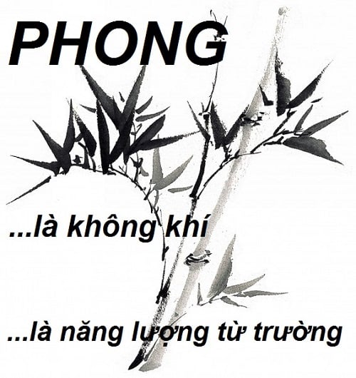 phong-thuy sharoncuneta.com