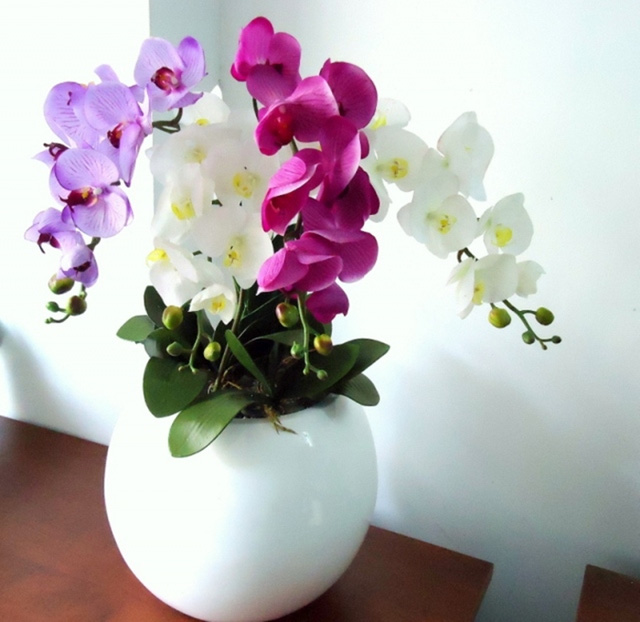 hoa-phong-thuy sharoncuneta.com
