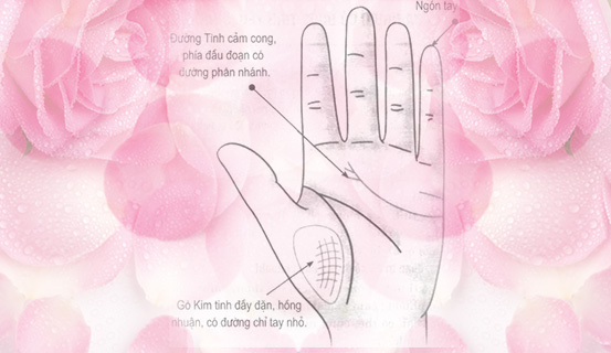 tuong-ban-tay phunutoday