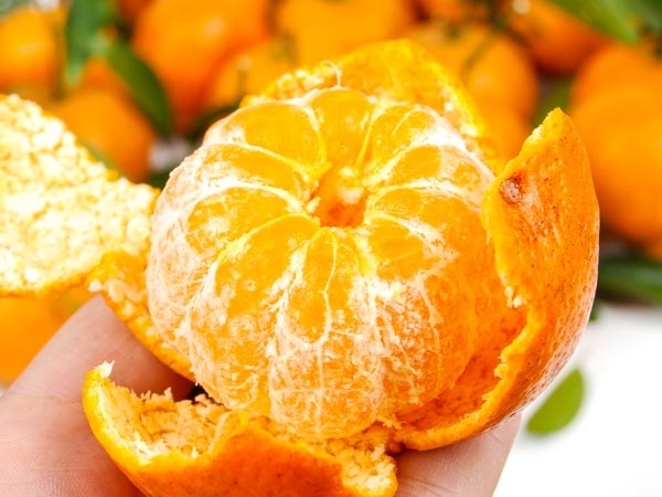 co-dau-say-xe-8-sharoncuneta.com