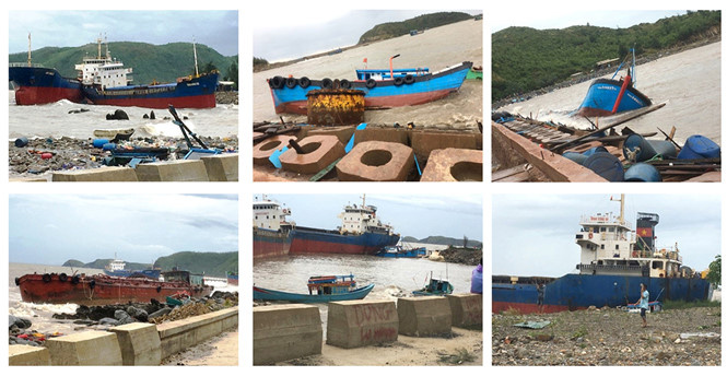 bao-so-2-danh-chim-hang-chuc-tau-ca-o-quang-binh-nhieu-nguoi-bi-thuong