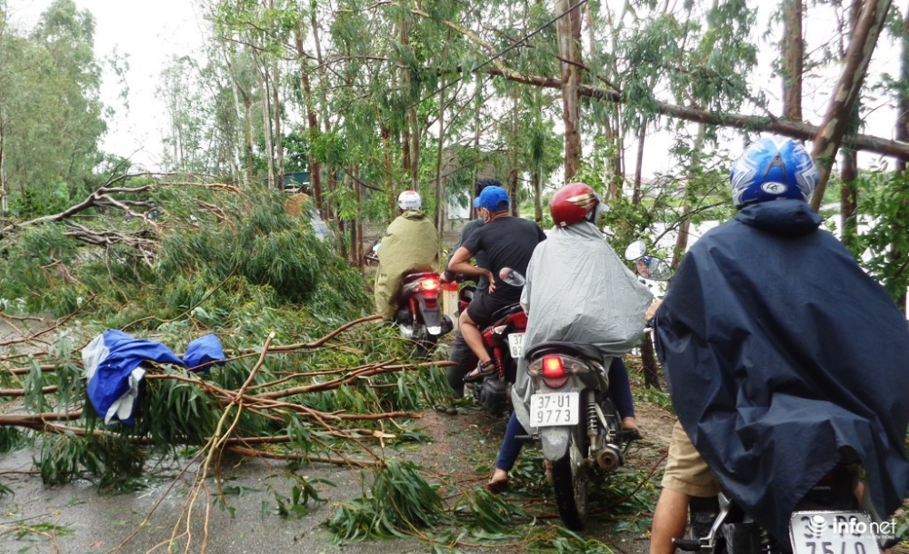 cac-tinh-thanh-hoa-den-ha-tinh-tan-hoang-sau-bao-so-2-4