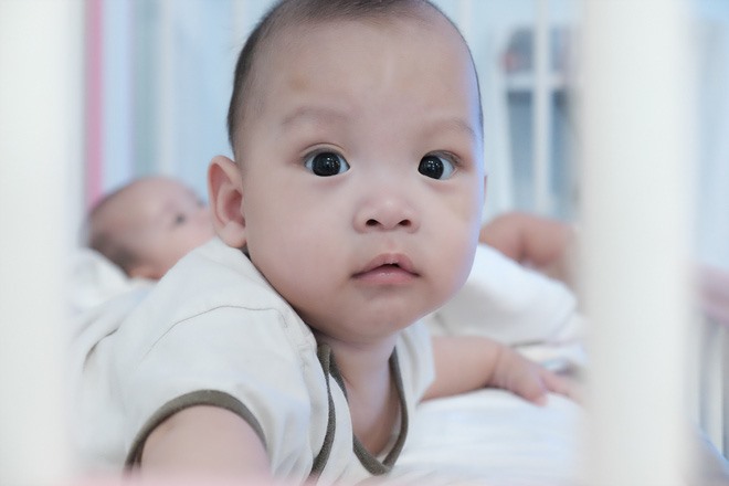 be-trai-tung-bi-vut-o-le-duong-khien-kien-lua-bo-day-mieng-da-duoc-dua-va-co-nhi-vien-sharoncuneta.com