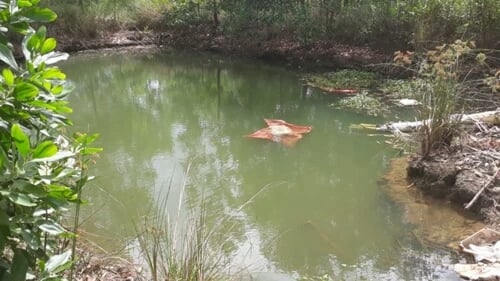 1_130984.jpg-1