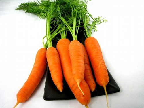 carot