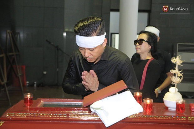 tuanhung7