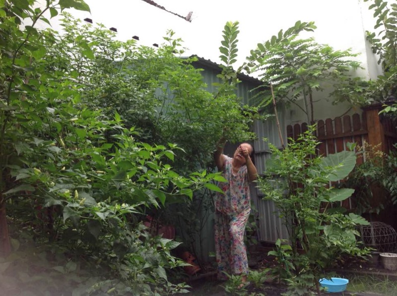 tangthanhha5.phunutoday.v