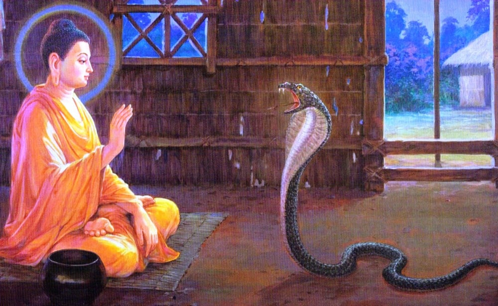 551